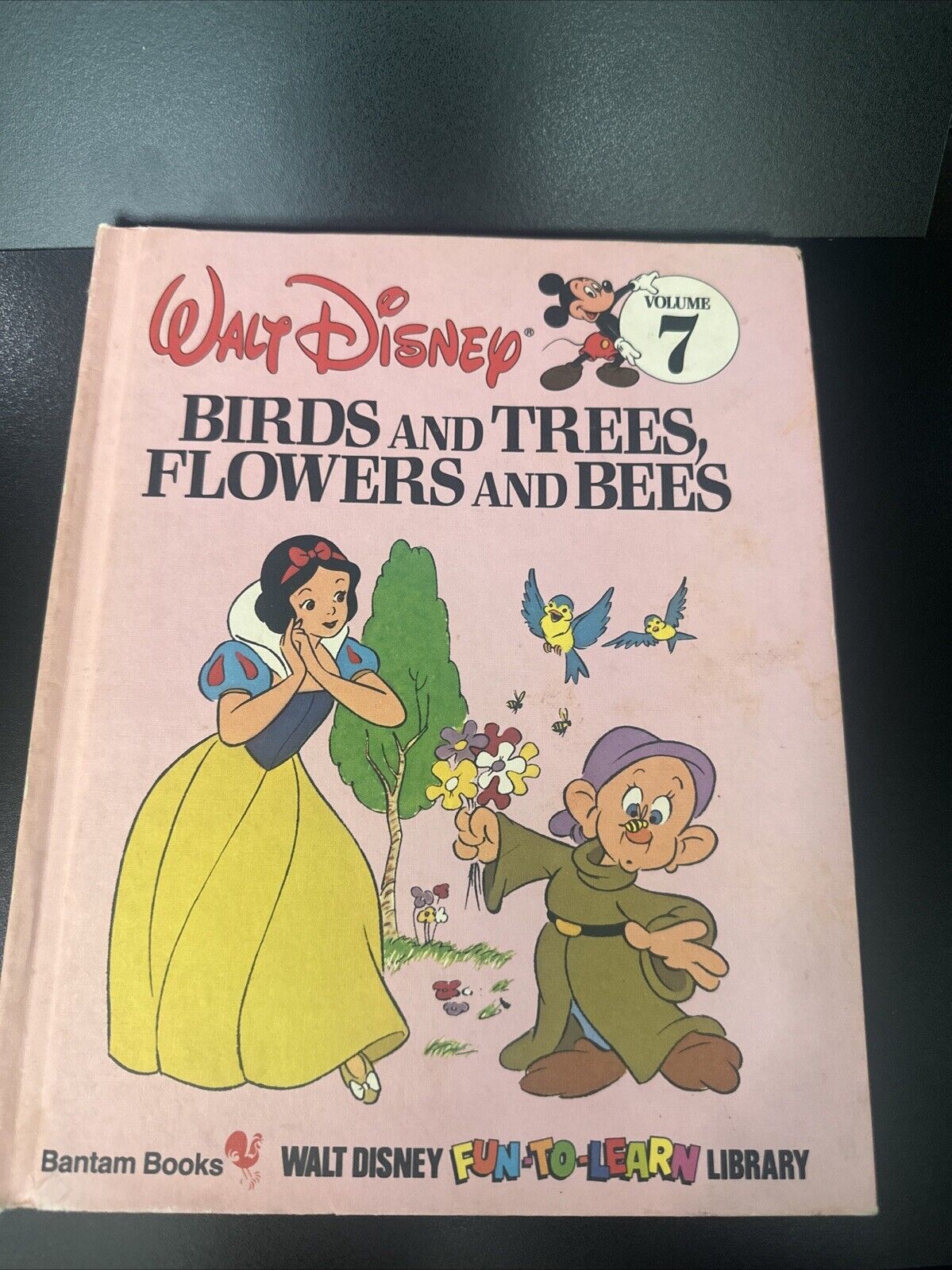 Vintage Walt Disney Birds and Trees, Flowers and Bees Volume 7 Bantam Books Hard