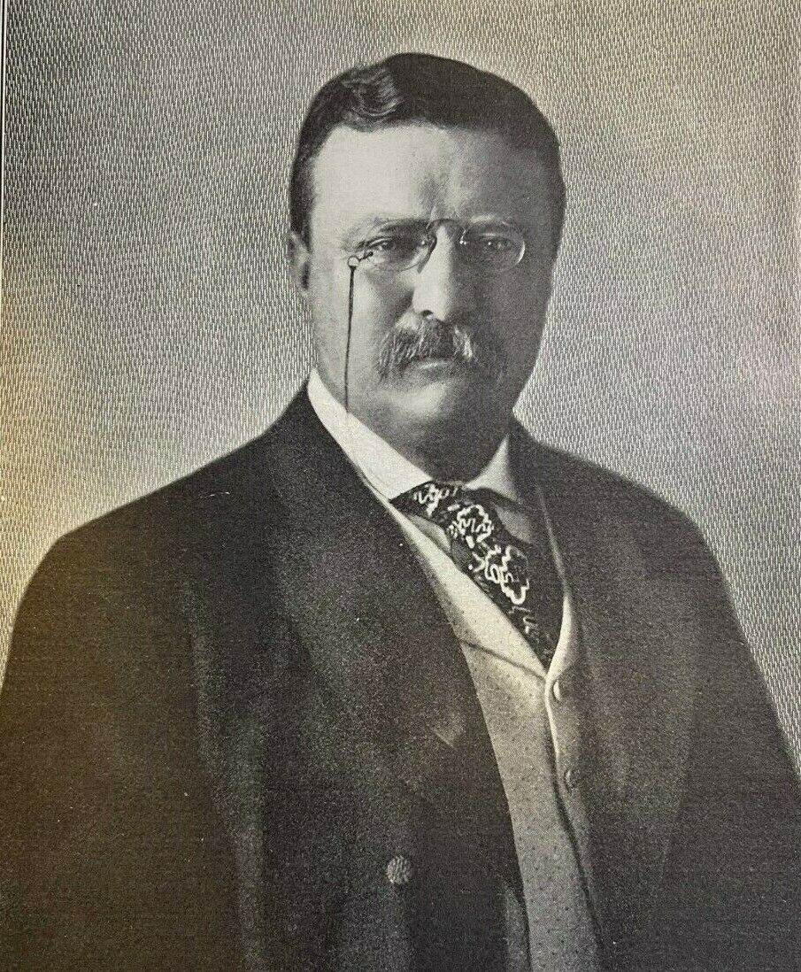1904 Vintage Magazine Illustration President Theodore Roosevelt