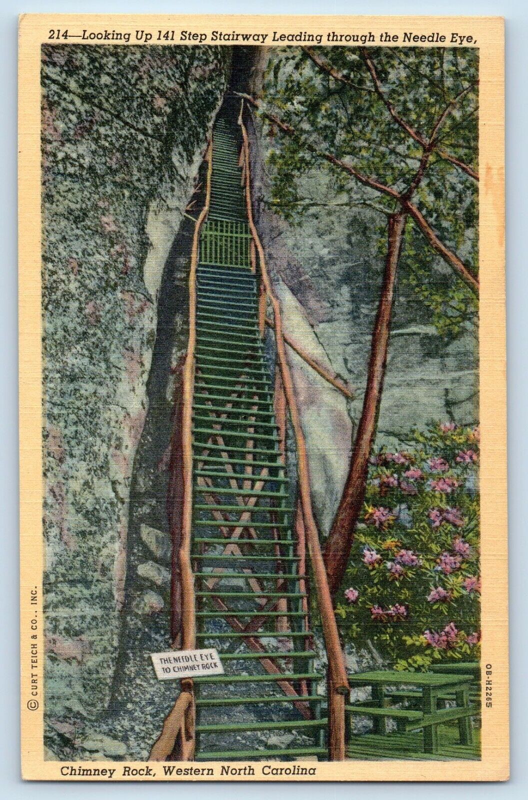 Chimney Rock North Carolina NC Postcard Looking Up 141 Step Stairway Needle Eye