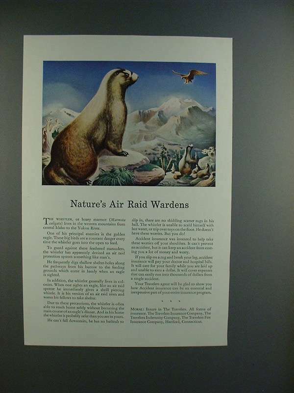 1943 Travelers Insurance Ad, The Whistler, Hoary Marmot
