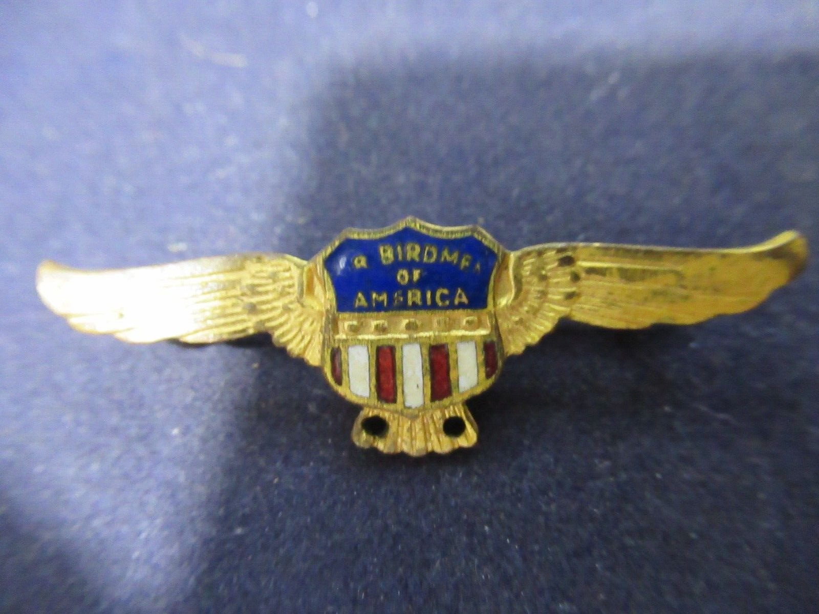 Vintage 1930's Junior Jr. Birdmen of America Gold-Tone Enamel Wings Pilot Pin