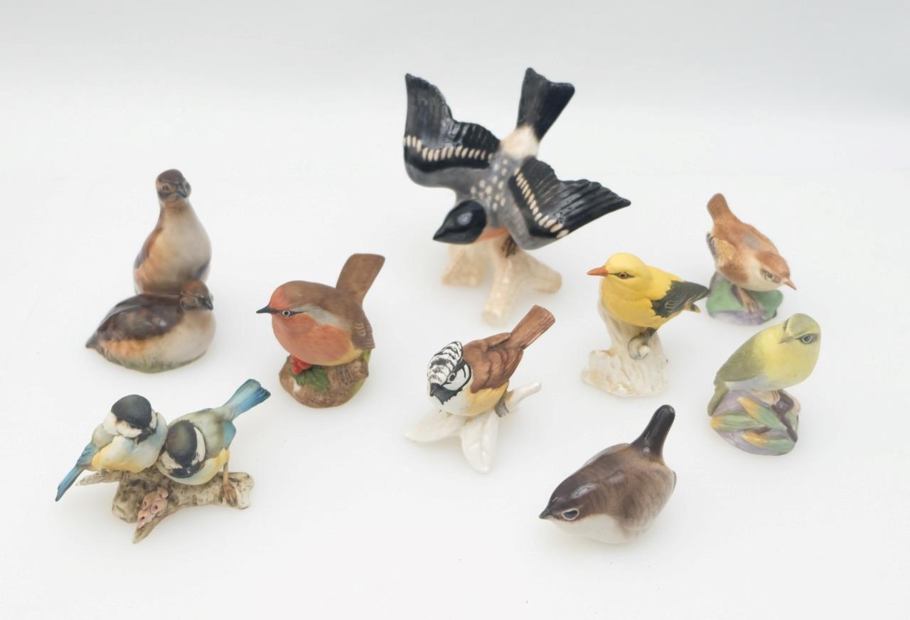Porcelain Bird collection - GOBEL - ROYAL WORCESTER - AYNSLEY - OTHER