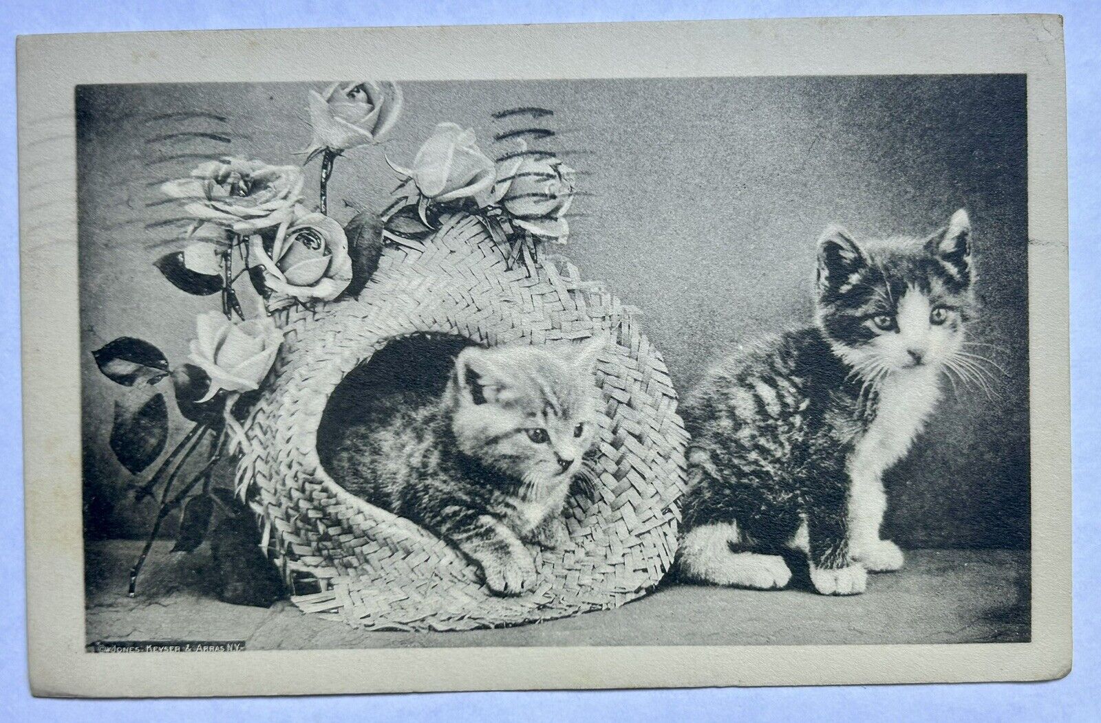Kittens With Roses And A Hat. 1911 Vintage Cat Postcard
