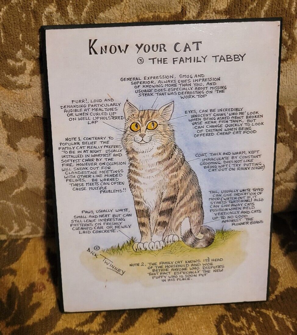Vtg Dick Twinney Know Your Cat The Family Tabby Plaque 8 x 6