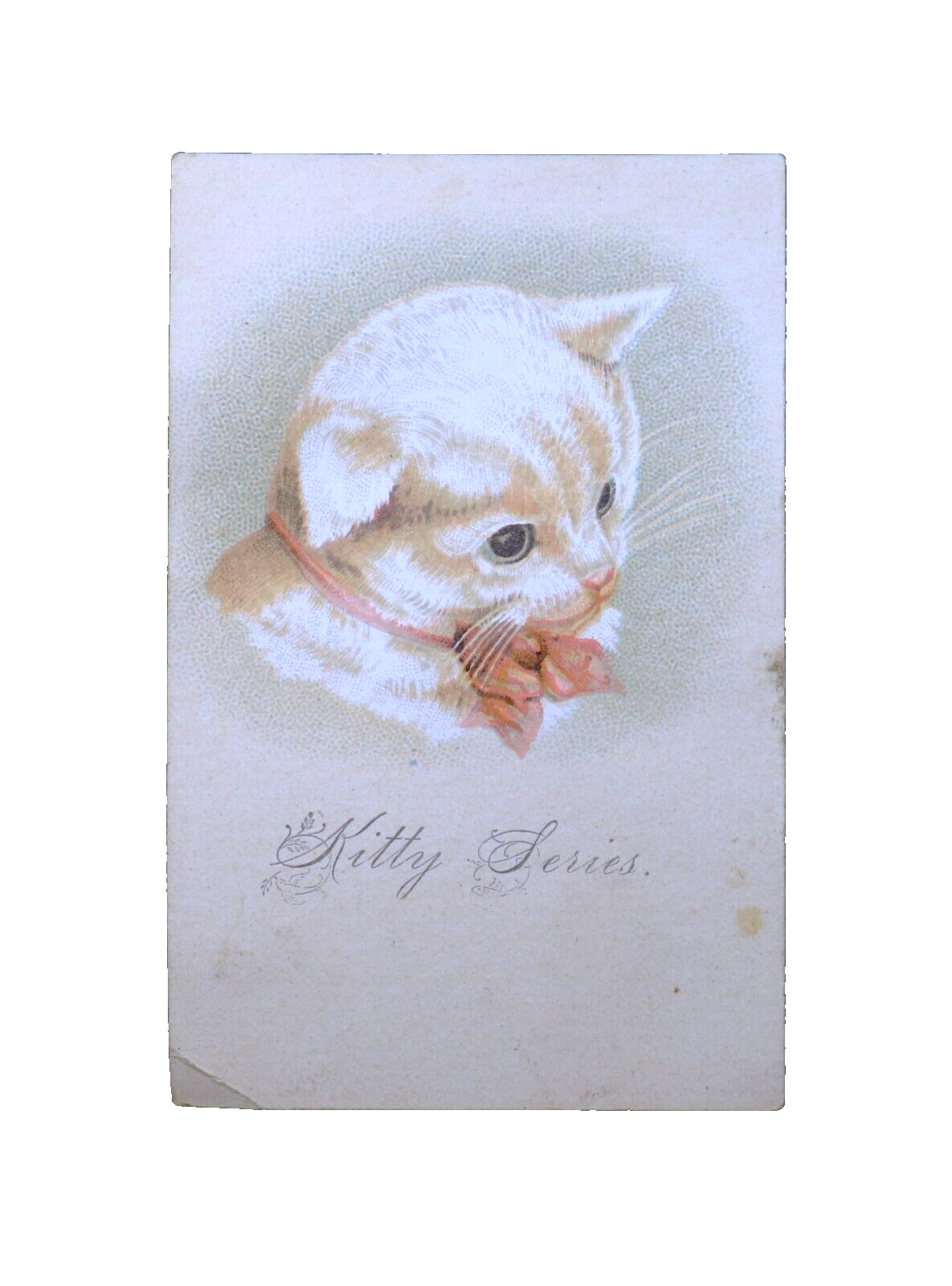1870s-80s Kitty Series White Cat With Bow Kitten Cats Victorian Trade Card