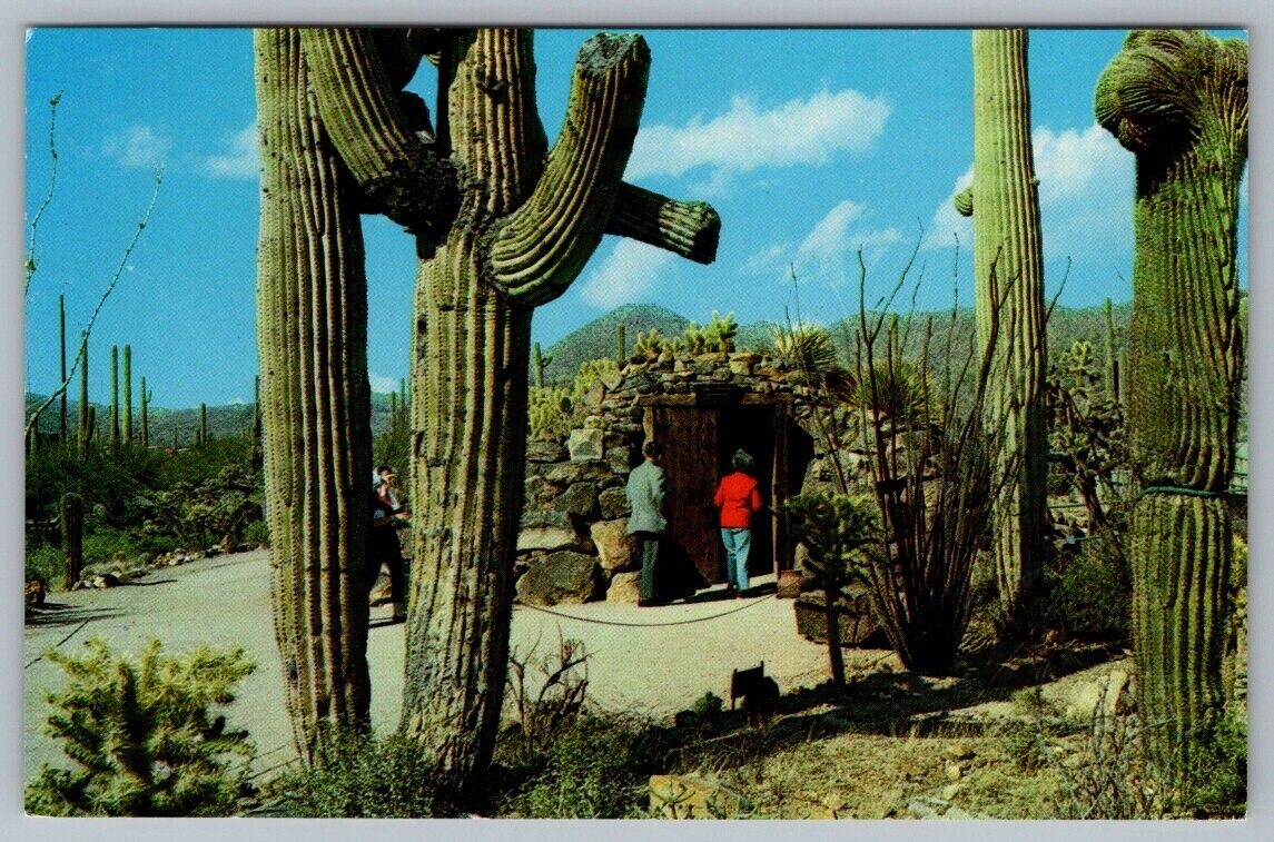 Postcard Tucson AZ Arizona Sonora Desert Museum Tunnel Entrance