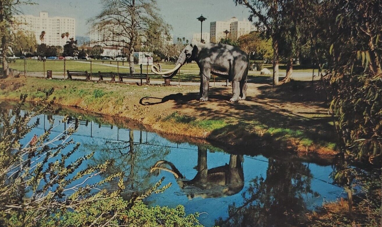 Labrea Tar Pits Los Angeles CA Elephant Postcard