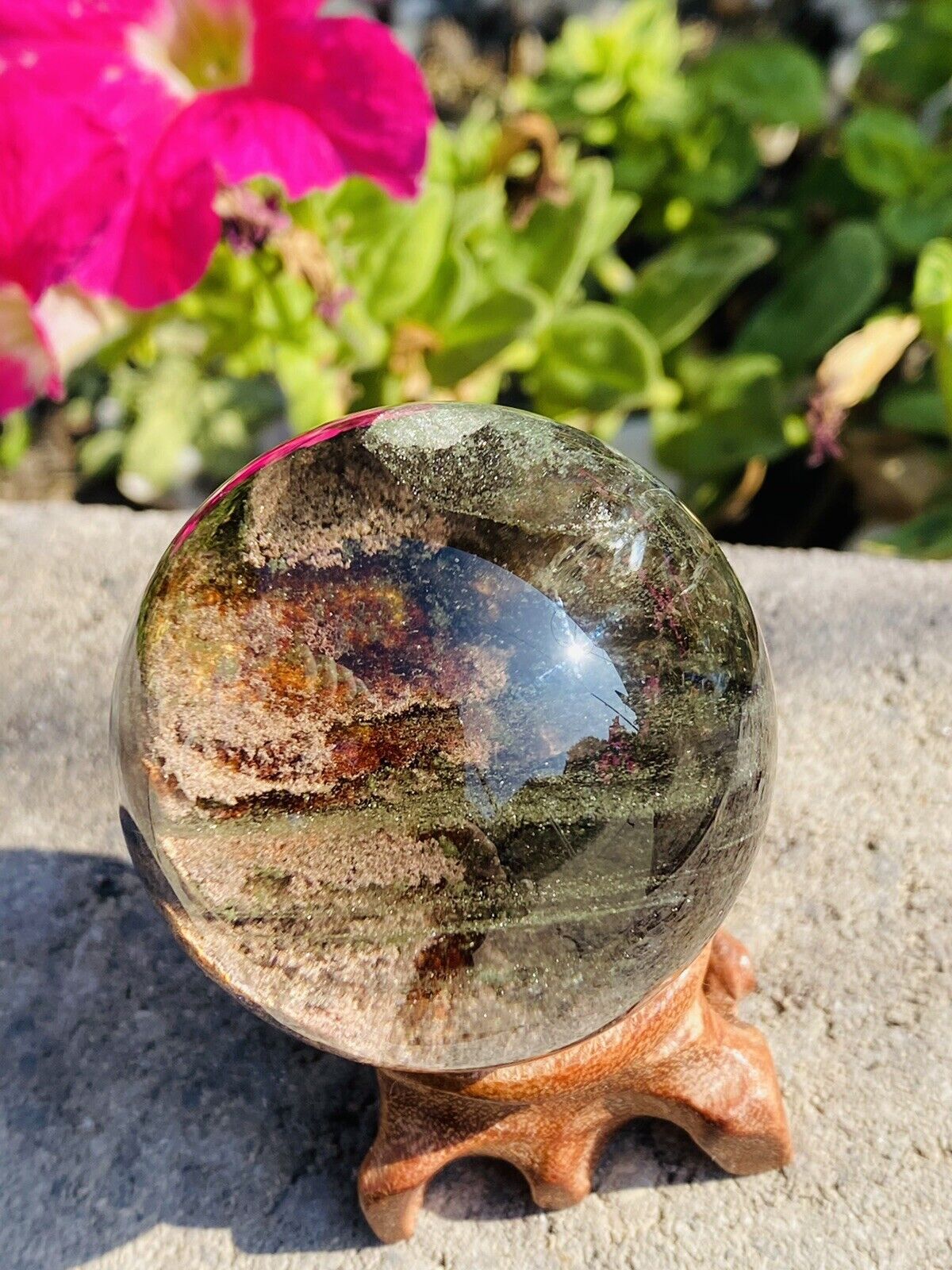 A very rare Melaleuca ghost ball, collectible