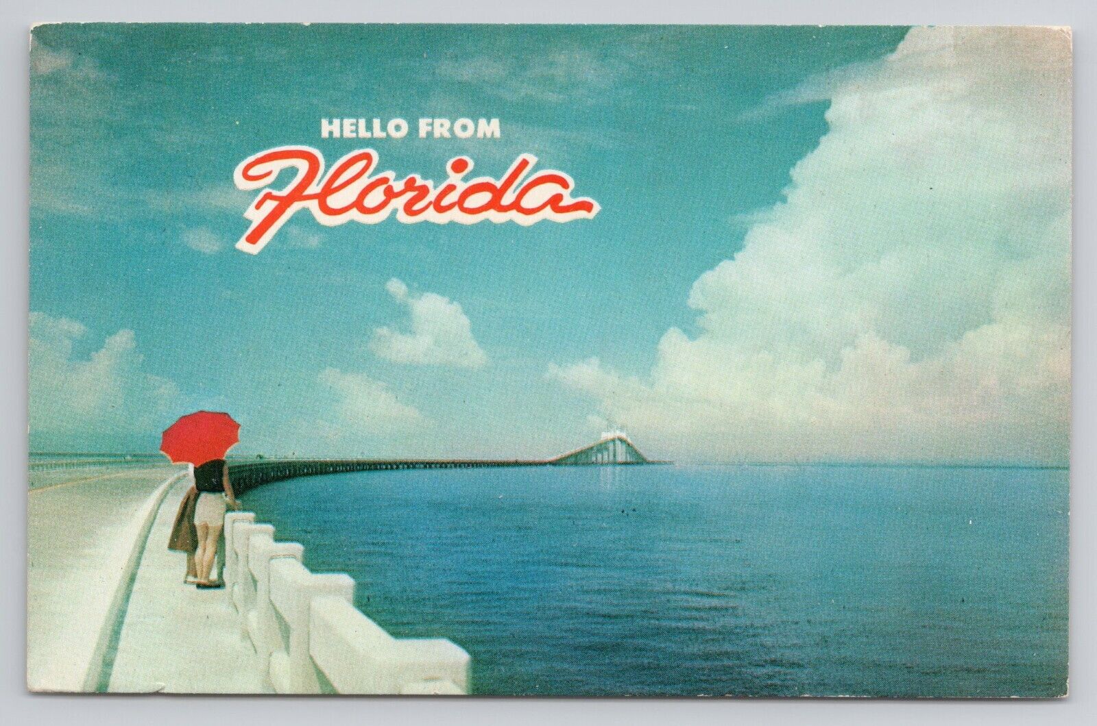 Hello From Florida Postcard 3827