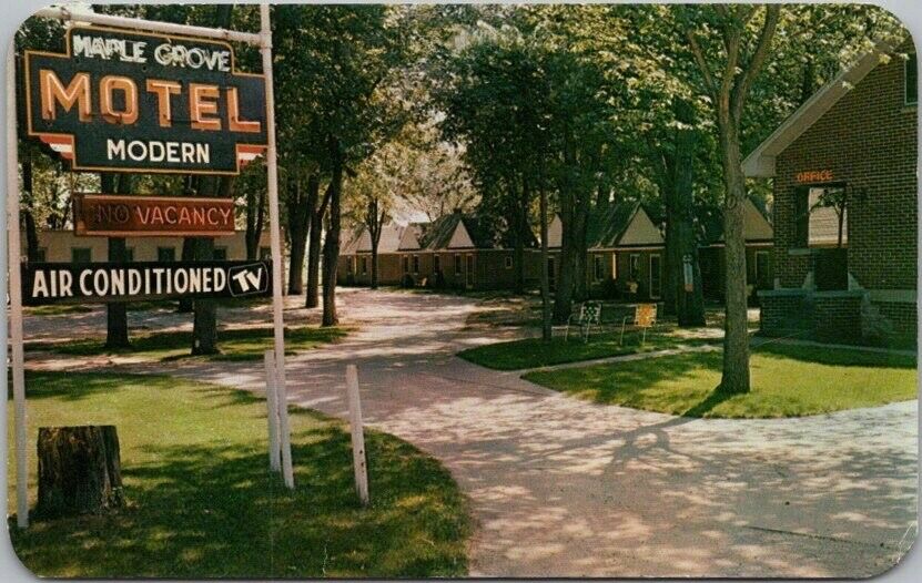 c1950s La Crosse, Wisconsin Postcard MAPLE GROVE MOTEL Highway 61 Roadside