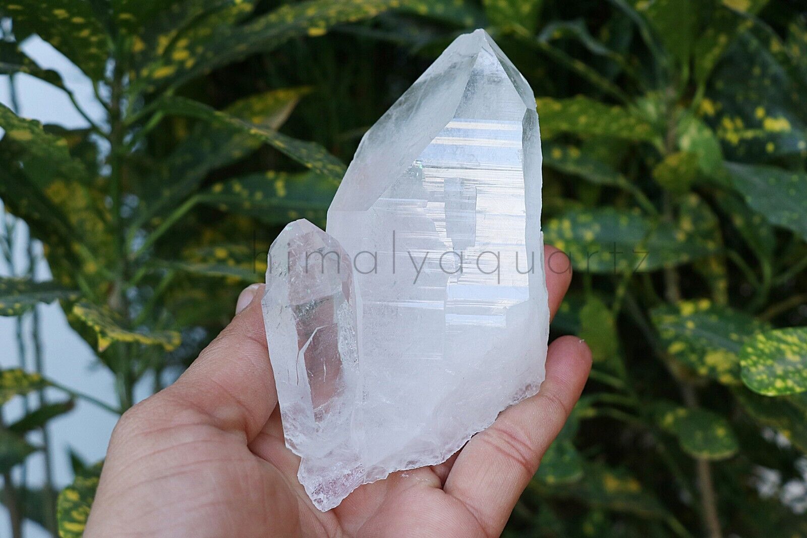 350gm Top Quality White Samadhi Quartz Crystal Cluster Rock Mineral Specimens