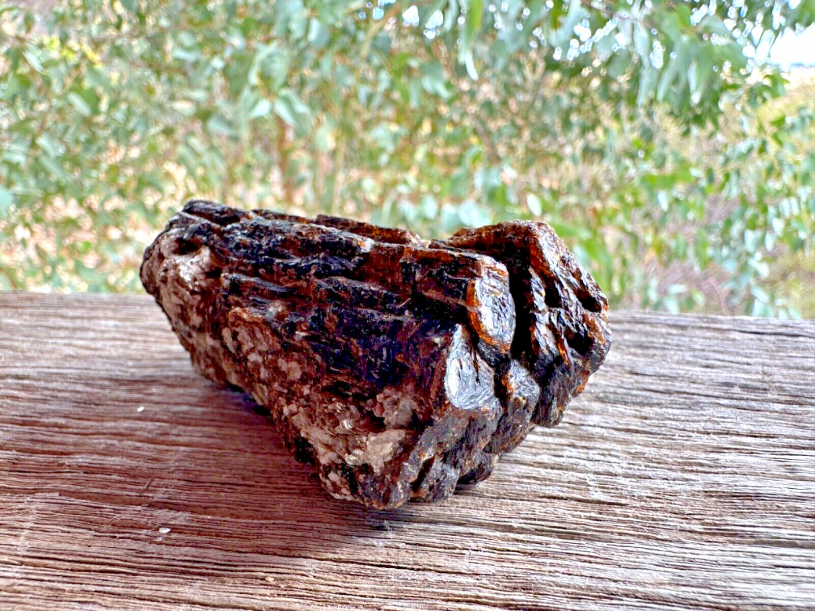 West Australian Double Terminated Brown Dravite Tourmaline Cluster - Yinnetharra