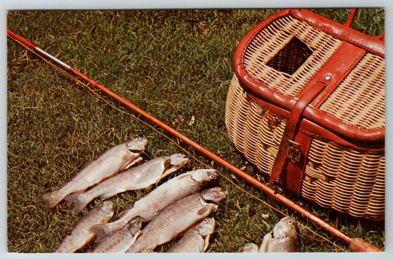 c1960s Postcard Trout Fishing Basket High Sierras California Fountain Valley