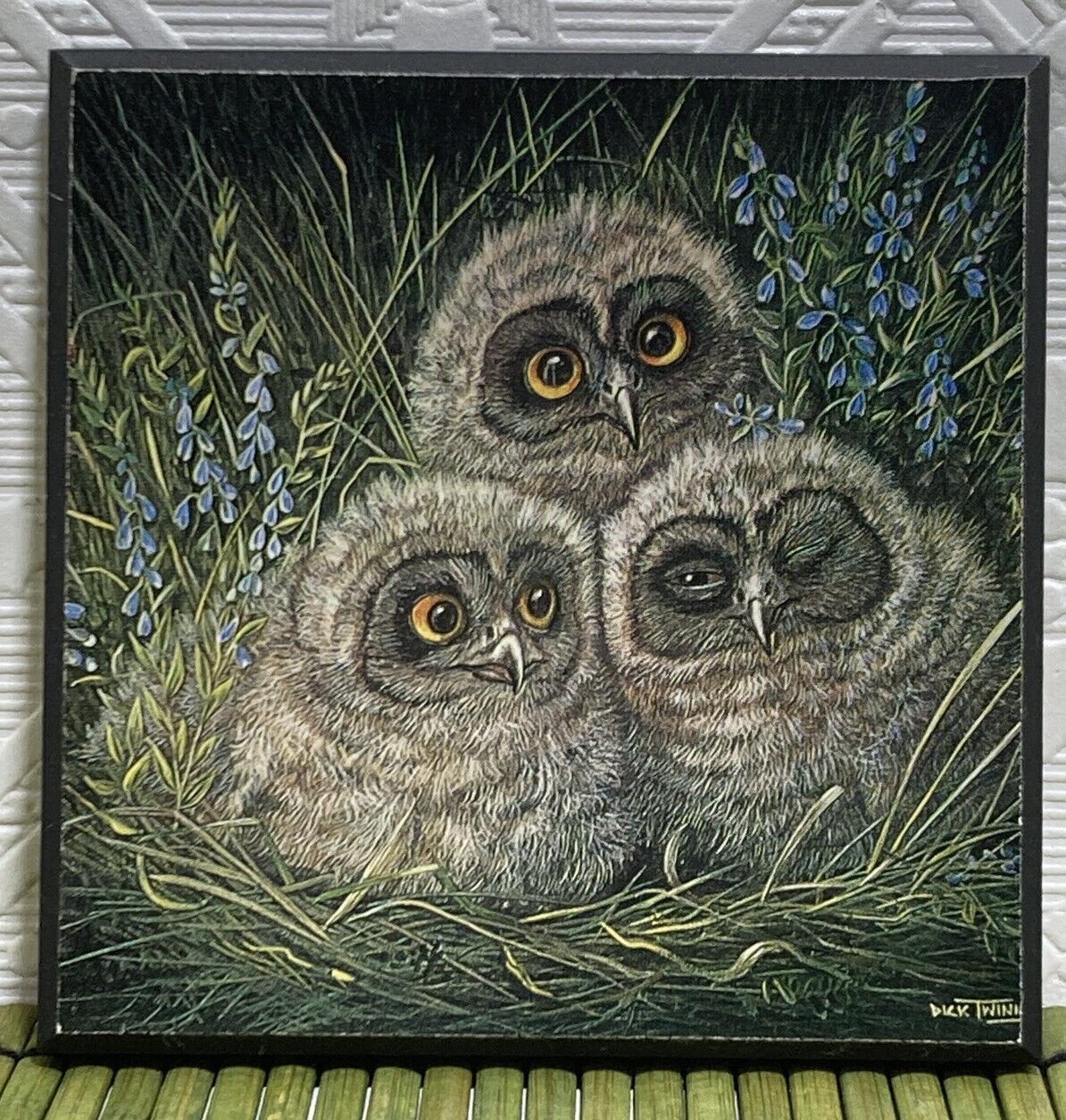 Vintage Dick Twinney Owl Chicks Mini Print on Wood Retro 4 in Square