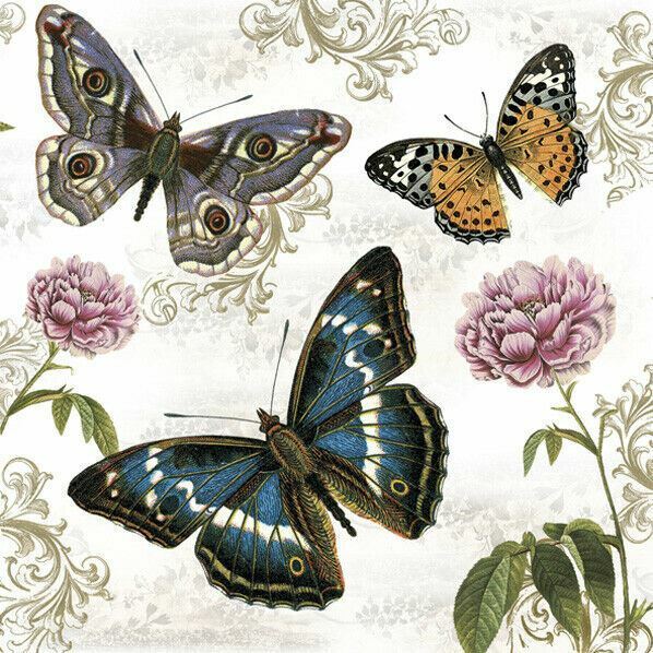 TWO Individual Paper Lunch Decoupage Napkins Insect FLOWERS BUTTERFLIES Napkin