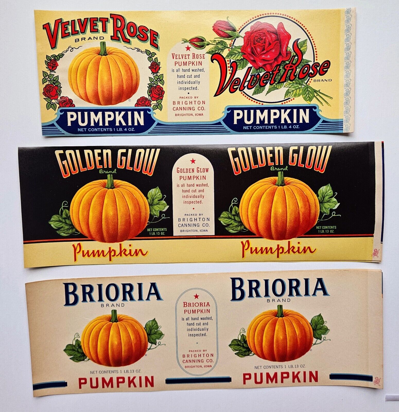 9 Vintage Old Pumpkin Can Labels, 3 Different, Brighton, IA
