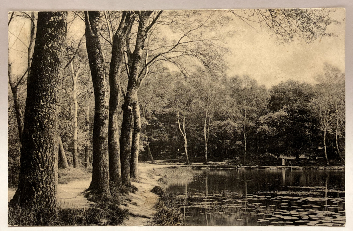 1905 Landscape Views, Serie A. Vintage Rotograph Postcard