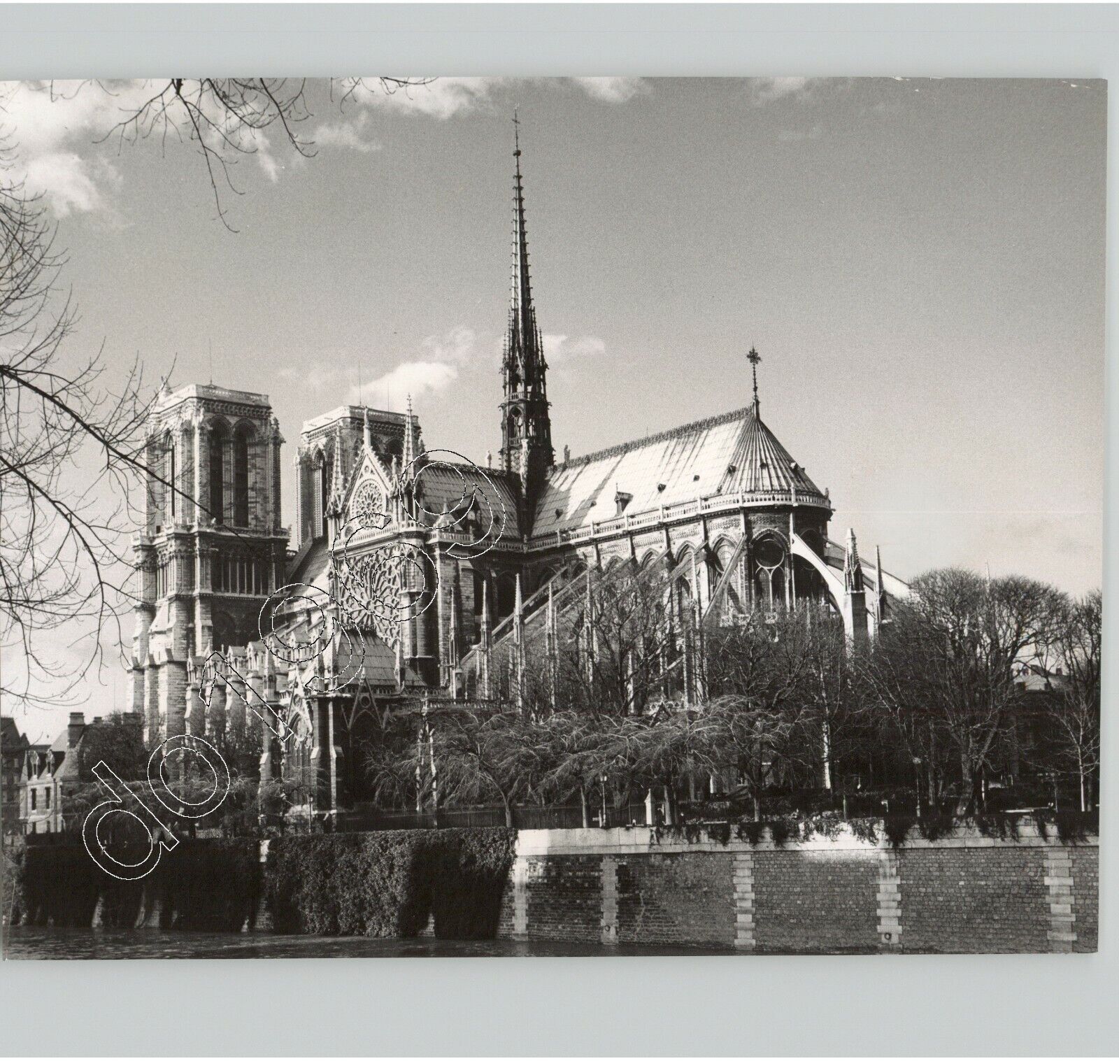 ORIGINAL Exterior Notre Dame Cathedral Paris 1966 PRESS PHOTO Gunter Reitz