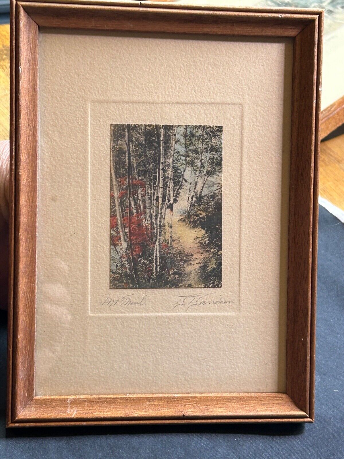 Early DAVID DAVIDSON Hand Colored Photo, MT. TRAIL, Framed, Matted & Under Glass