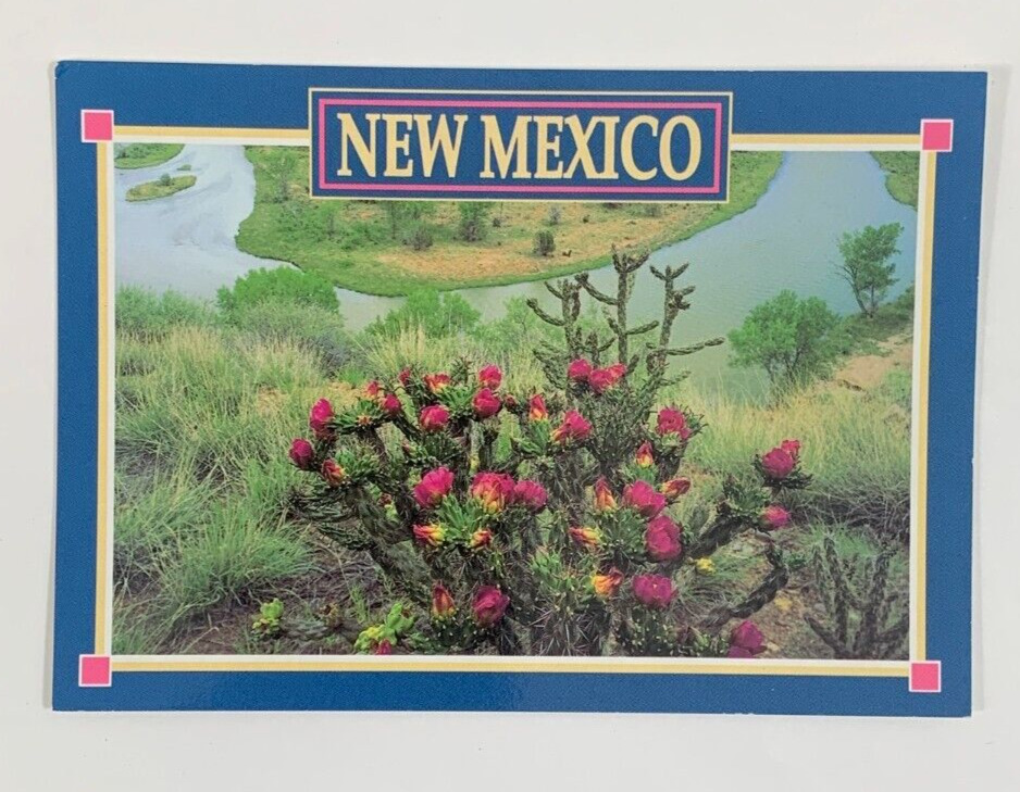 Blooming Cholla Shoreline of Rio Chama River near Abiquiu New Mexico Postcard