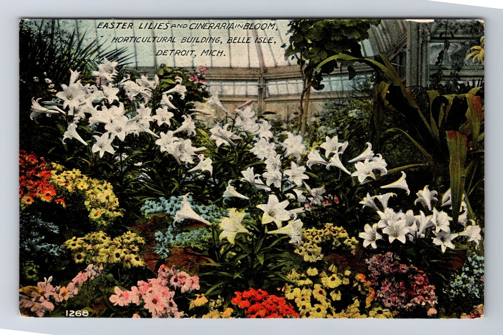 Detroit MI-Michigan, Horticultural Building Belle Isle, Vintage Postcard