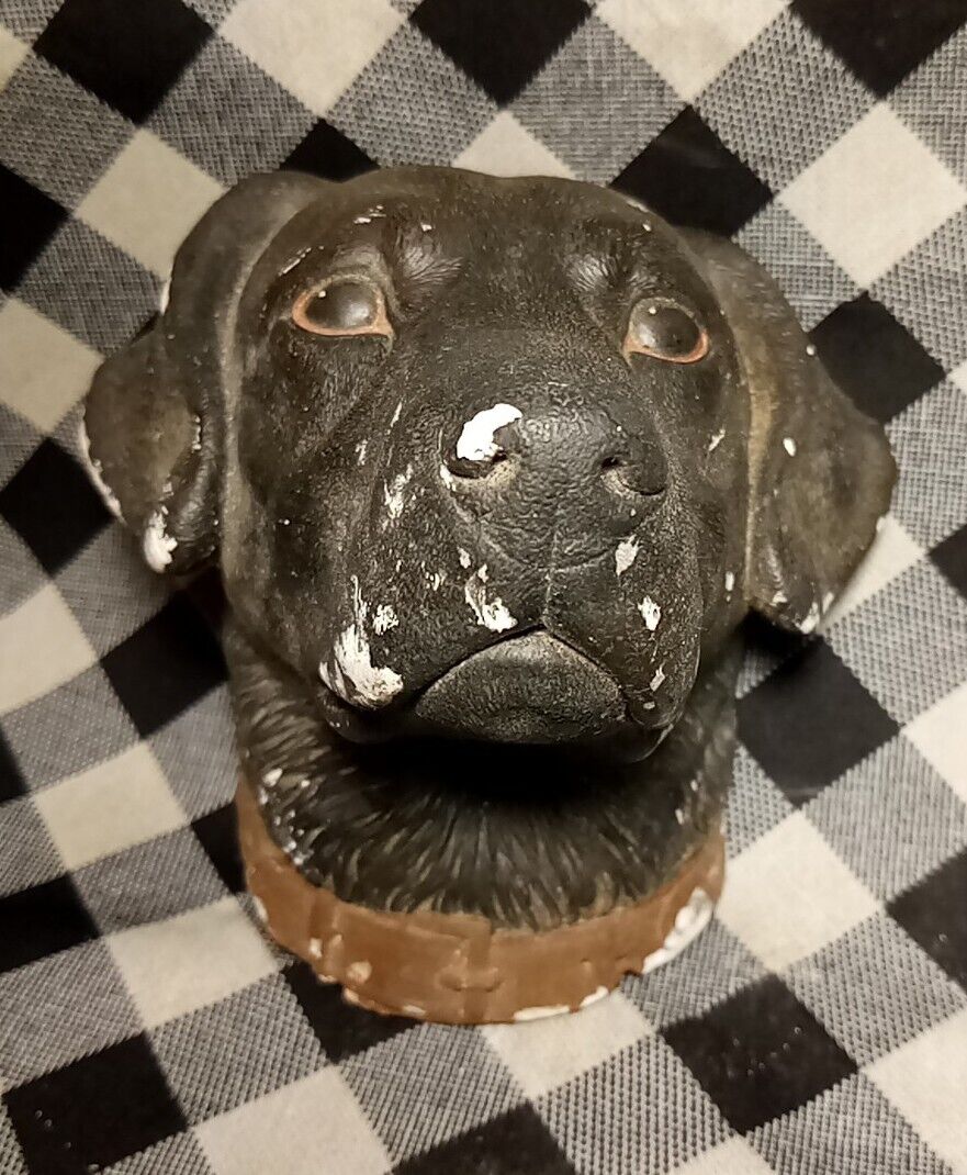 Bossons Chalkware Black Labrador Retriever Dog 1965