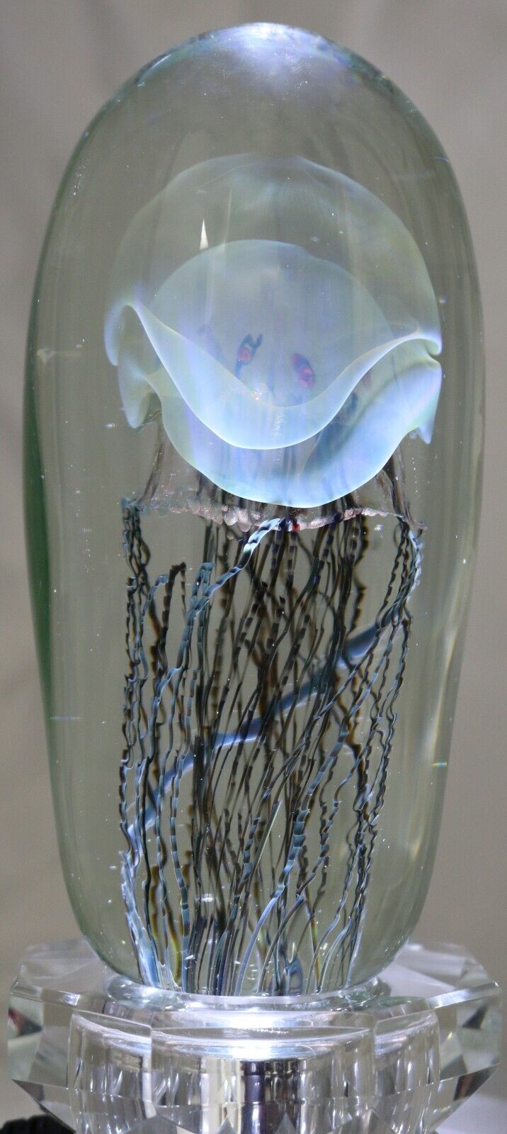 Elegant RICK SATAVA Sculpture JELLYFISH Art Glass Paperweight 6 1/4\