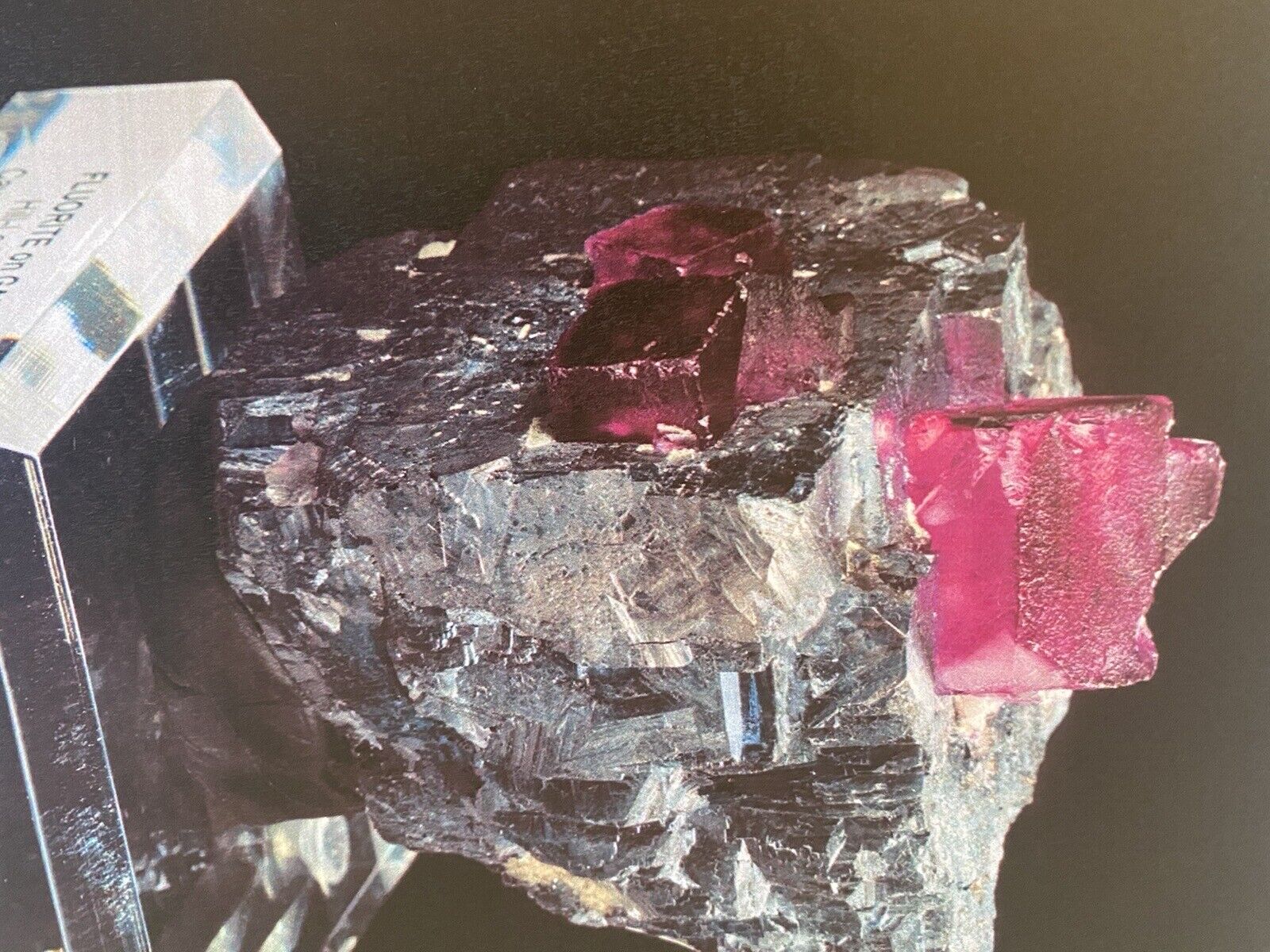 Beautiful Magenta Fluorite Cubes on Galena Crystal, Hill-Ledford Mine