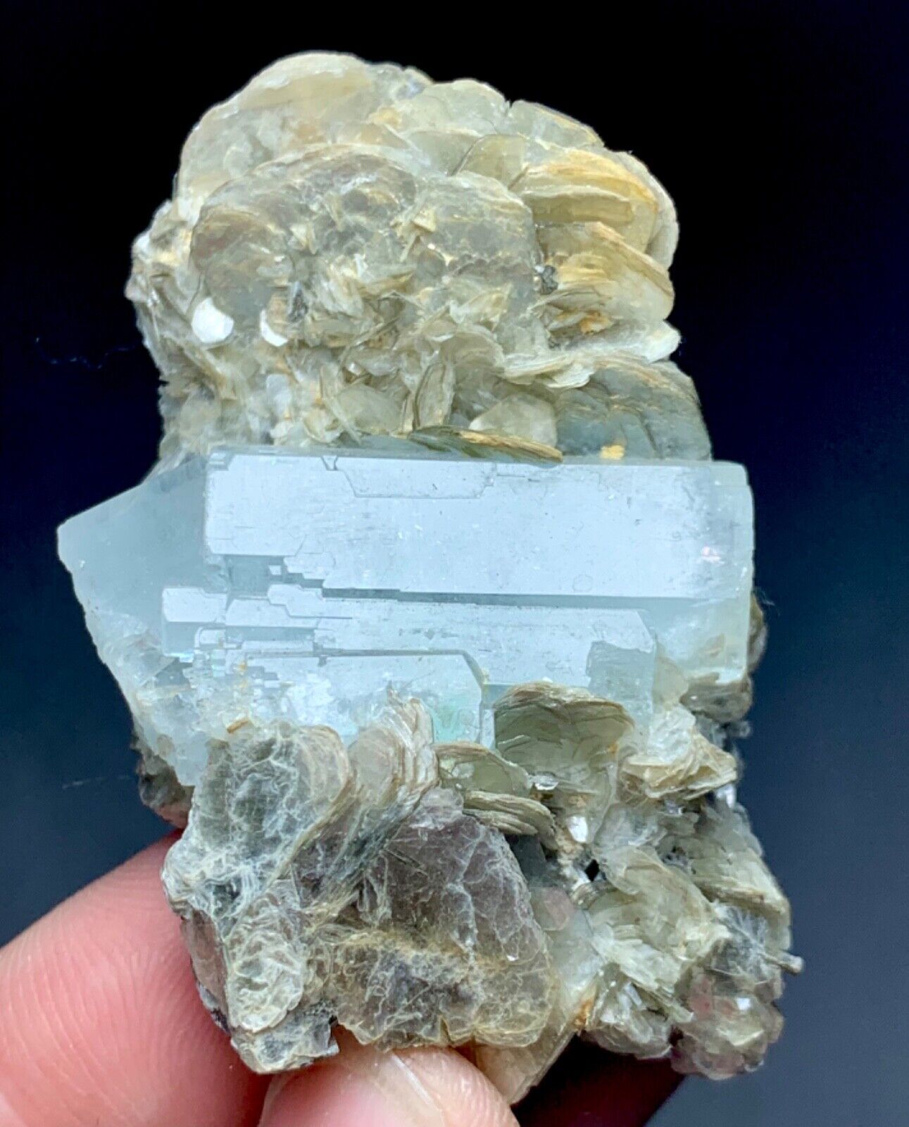155 Carat Aquamarine Crystal Specimen from Pakistan
