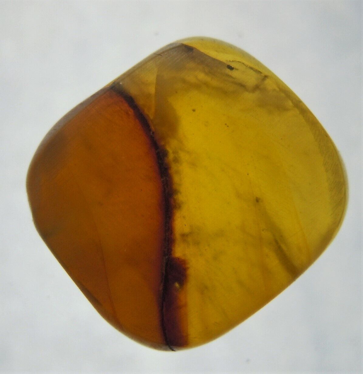 100 MILL. YEARS OLD BURMITE AMBER (ABR4/8) 2 COLORS