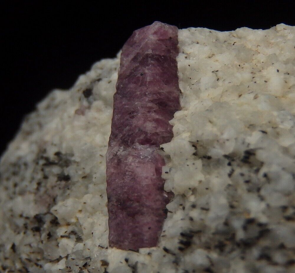 CORUNDUM var. RUBY crystal on matrix - MADAGASCAR Ihorombe - Ihosy Distr  /pj374