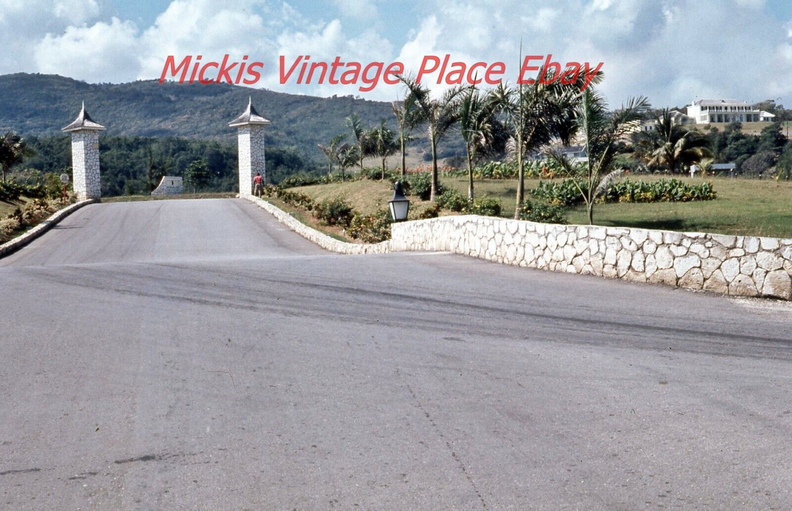 Vtg 1968 Photo 35mm Slide Jamaica Half Moon Bay Resort Entrance Drive p29