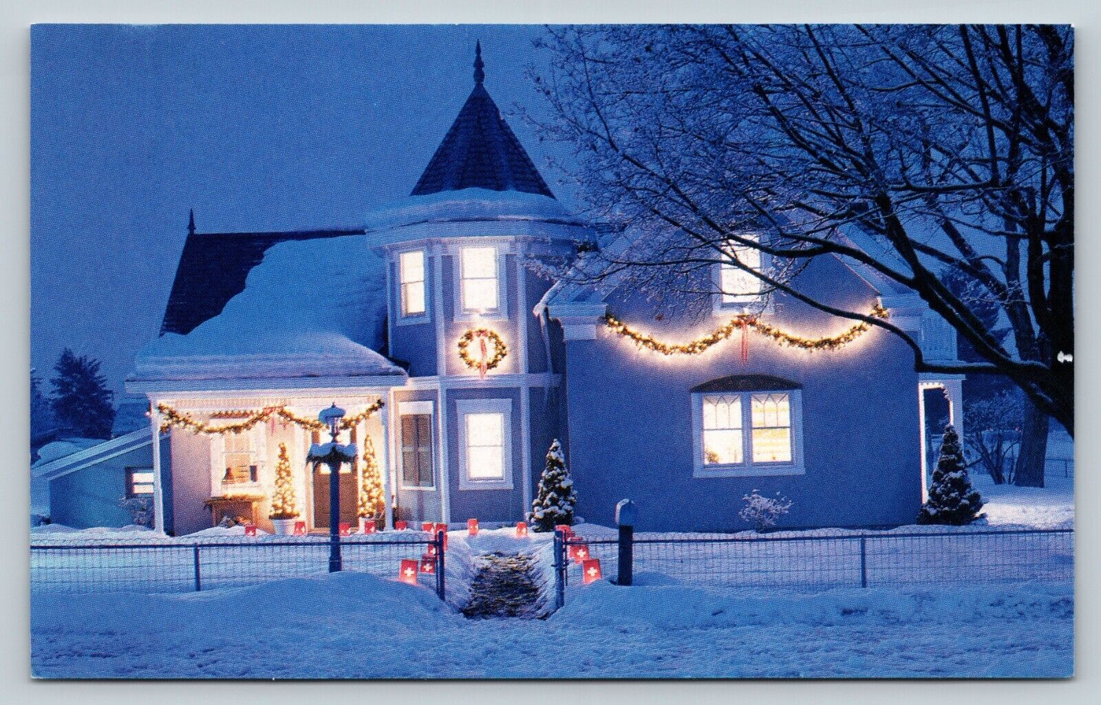 Snowy Holiday Lighting Martha Stewart LIVING 4x6\