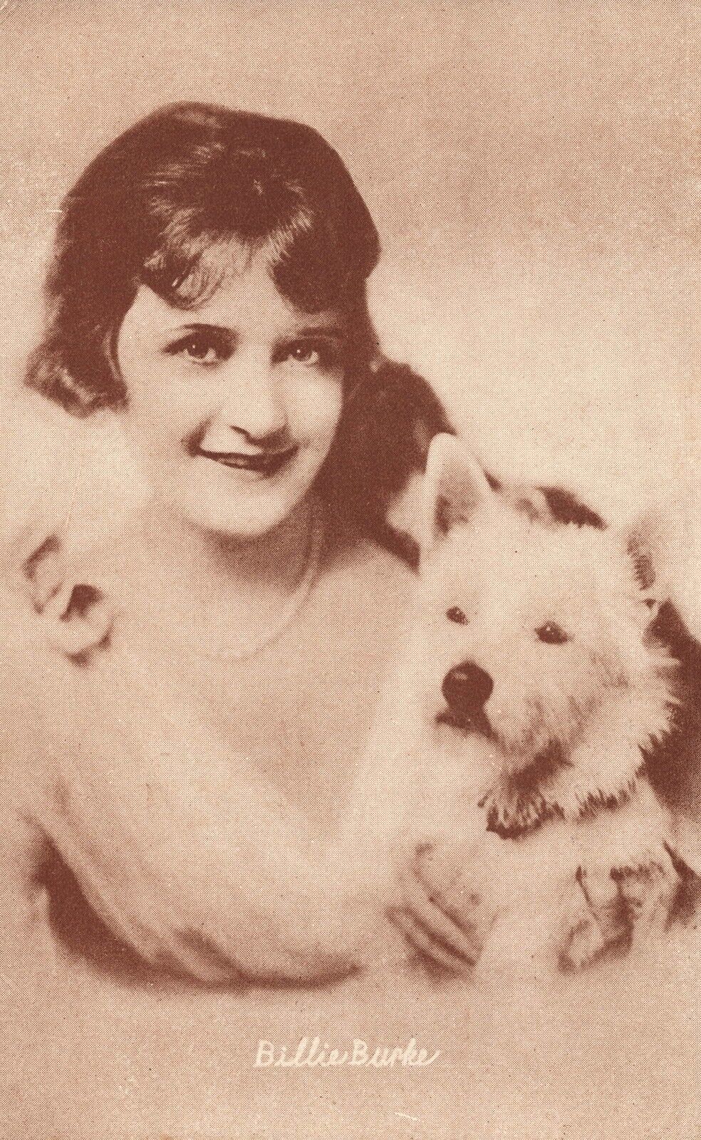 Actress Billie Burke & White Dog Ⓒ 1915 Postcard Later was Glinda Wizard of Oz