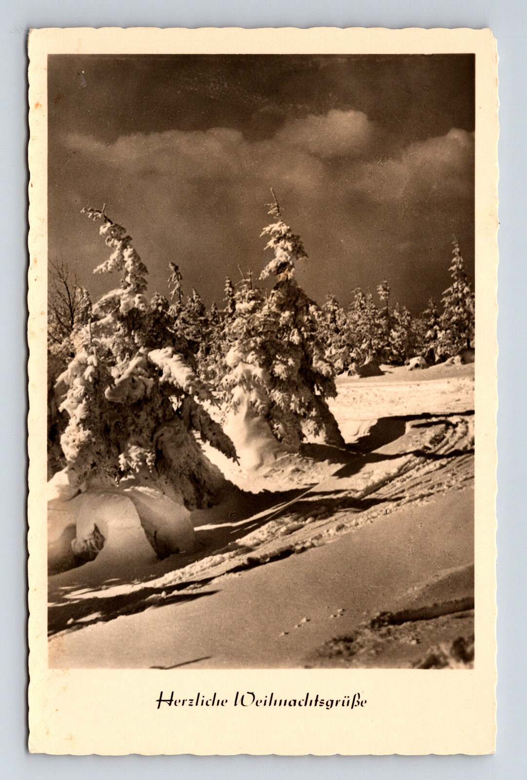 c1958 RPPC German Snowy Evergreen Skiing Scene Merry Christmas Postcard