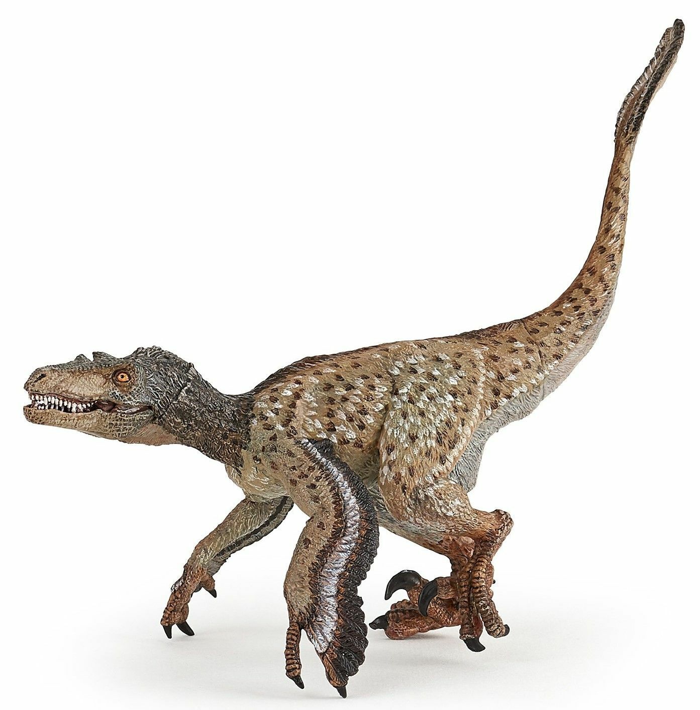 NEW PAPO 55086 Feathered Velociraptor - Speckled Repaint - Dinosaur