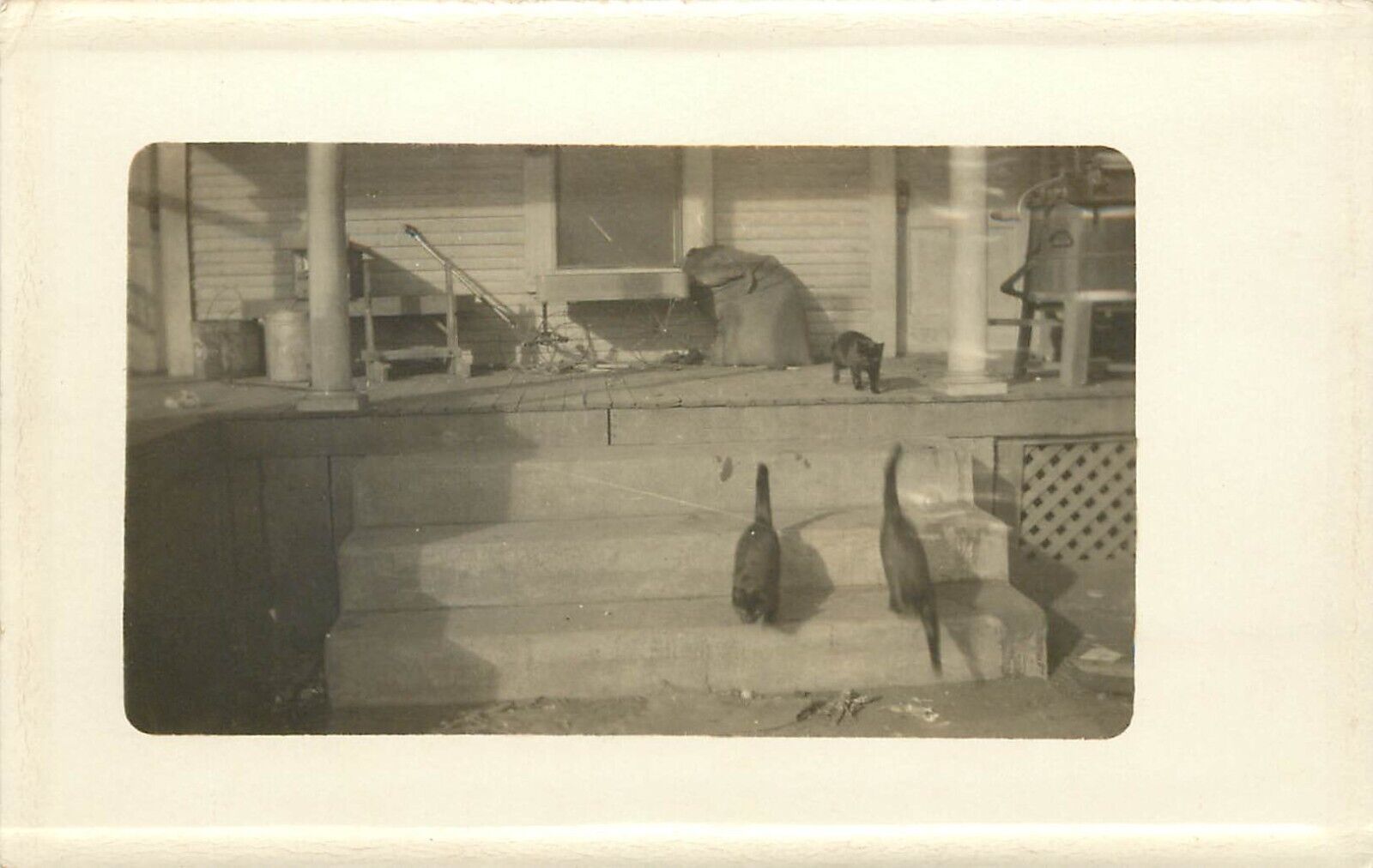 c1910 RPPC Postcard 3 Black Cats on Porch Steps of House, Unknown US Location