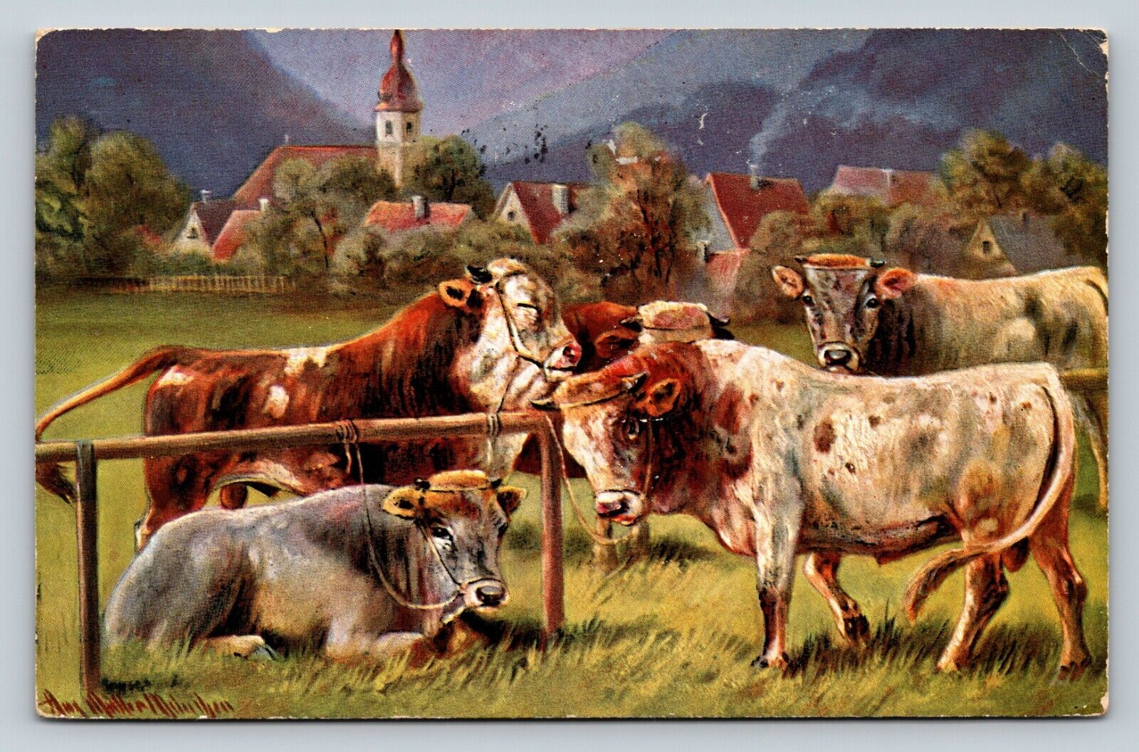c1907 Cattle in Beautiful Country Setting ANTIQUE Postcard 1239