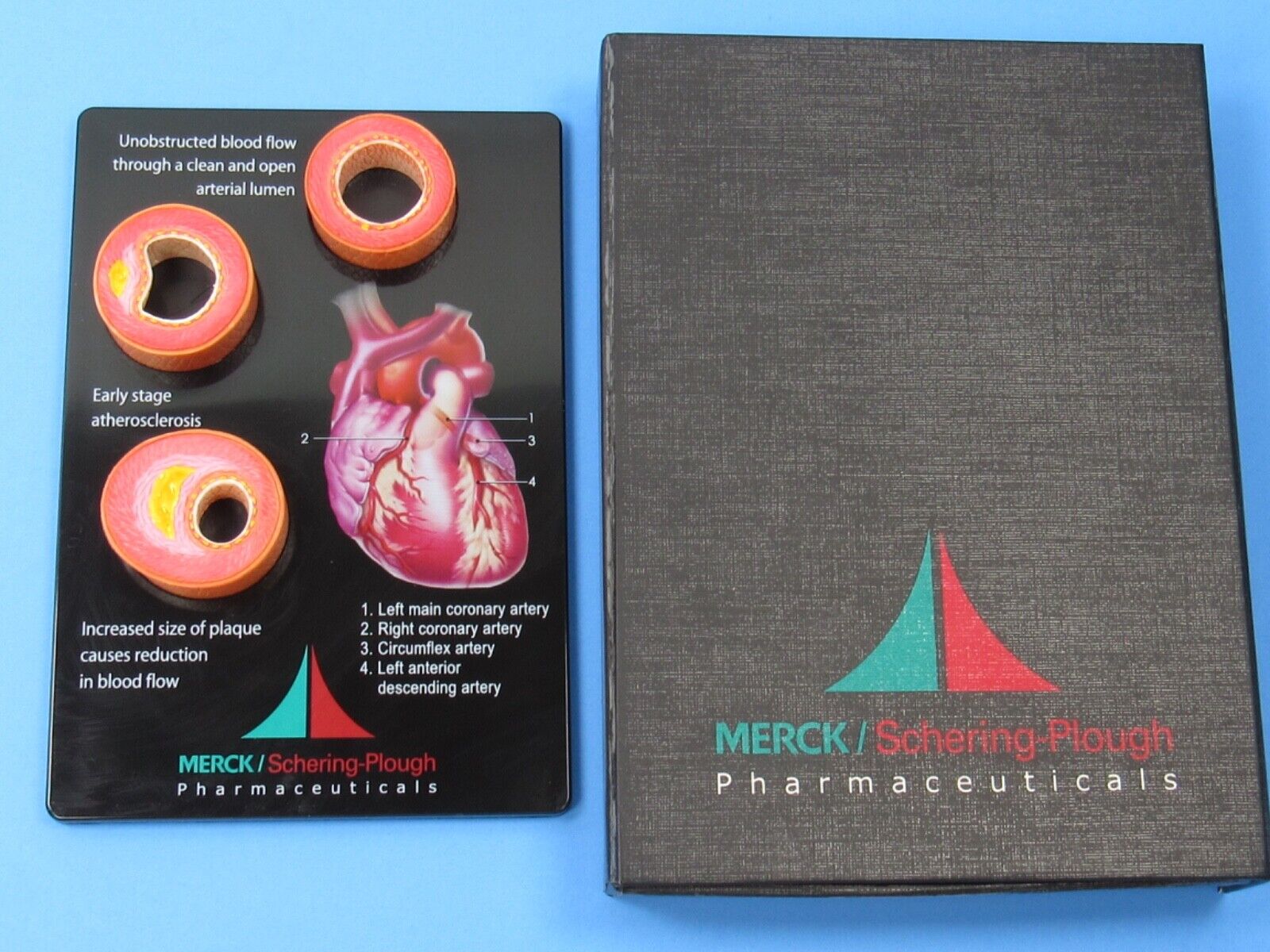 Merck Atherosclerosis Model Teaching Display Drug Rep Pharmaceutical Advertising