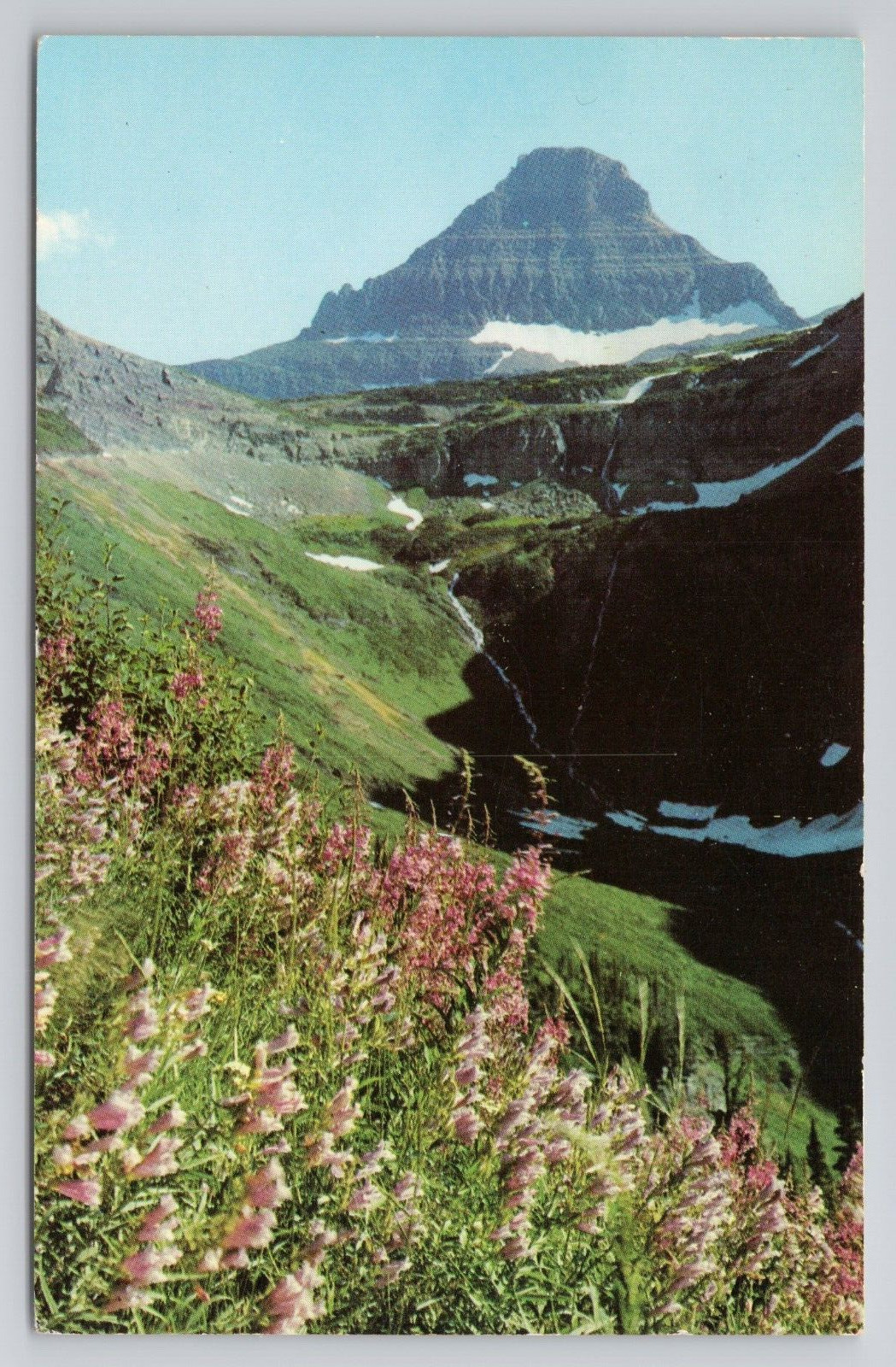 Hanging Gardens, Going to the Sun Highway, Glacier Park, Montana Postcard 4122