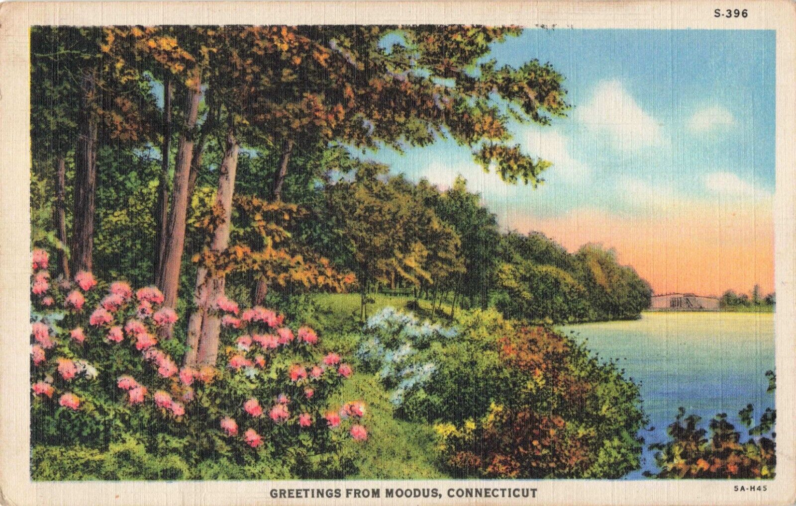Moodus CT Connecticut, Greetings, Scenic View, Flowers Lake, Vintage Postcard