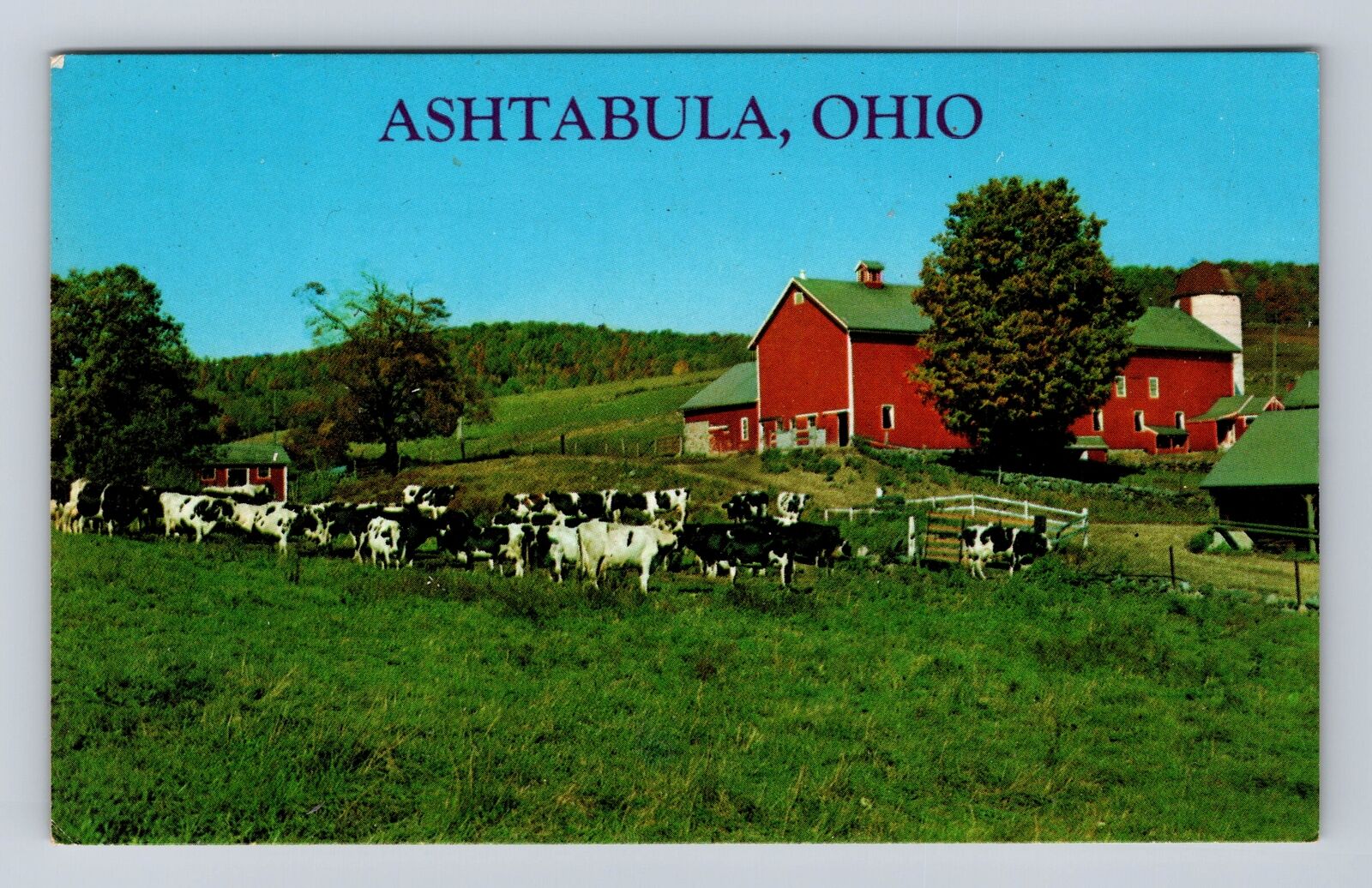 Ashtabula OH-Ohio, Farm Scene, Barn, Cows In The Pasture, Vintage Postcard