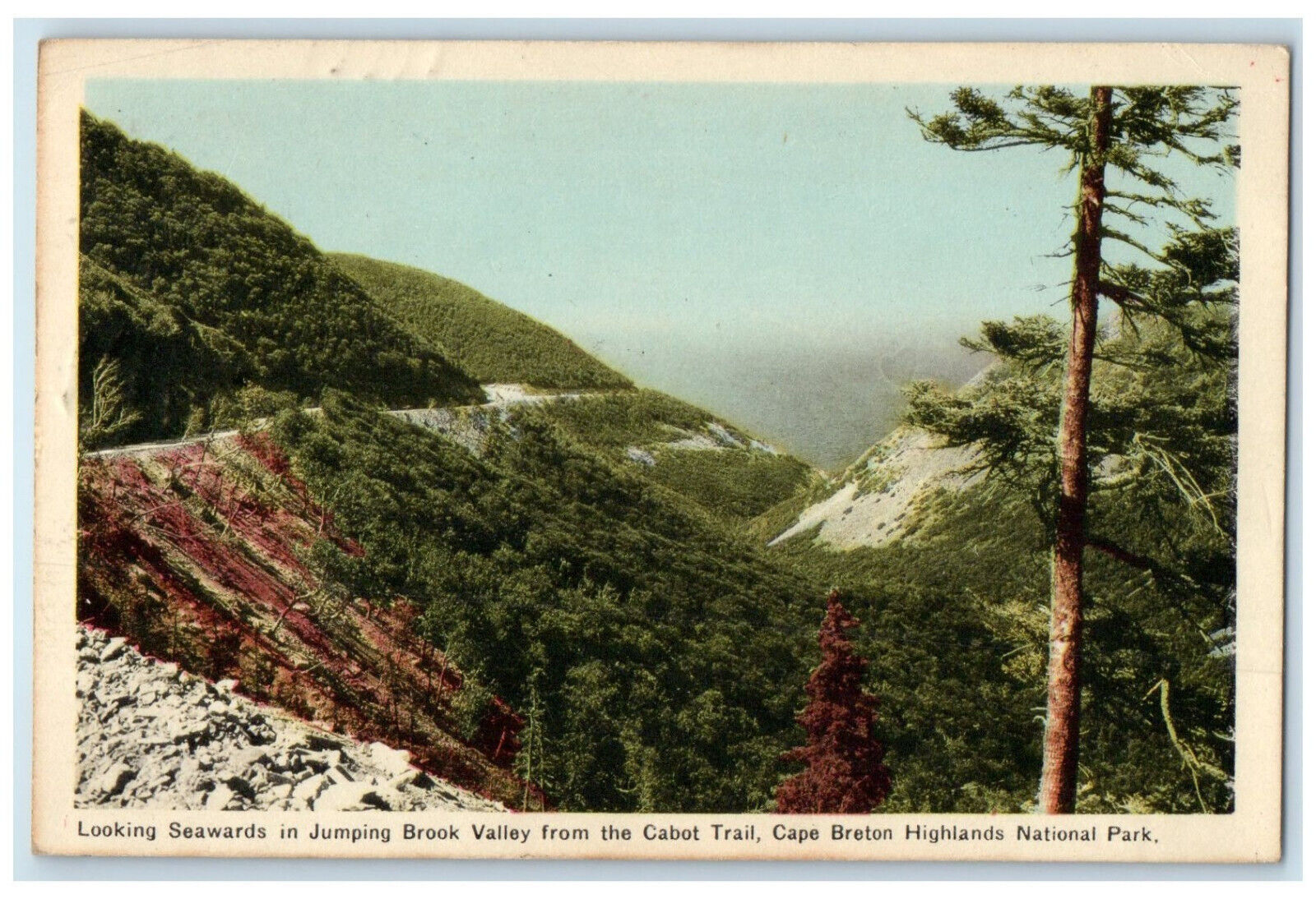 c1950's Brook Valley Cape Breton Highlands National Park NS Canada Postcard