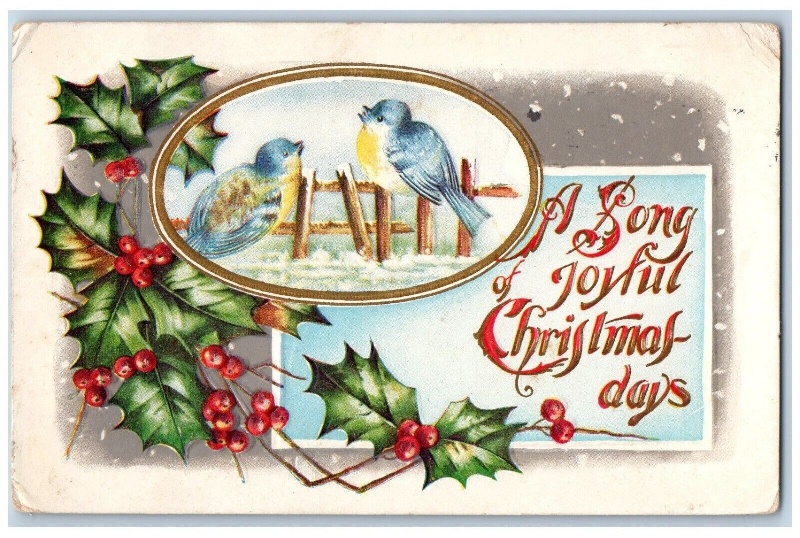 Christmas Postcard Holly Berries Song Birds Winter Snow Oklahoma OK 1910 Antique