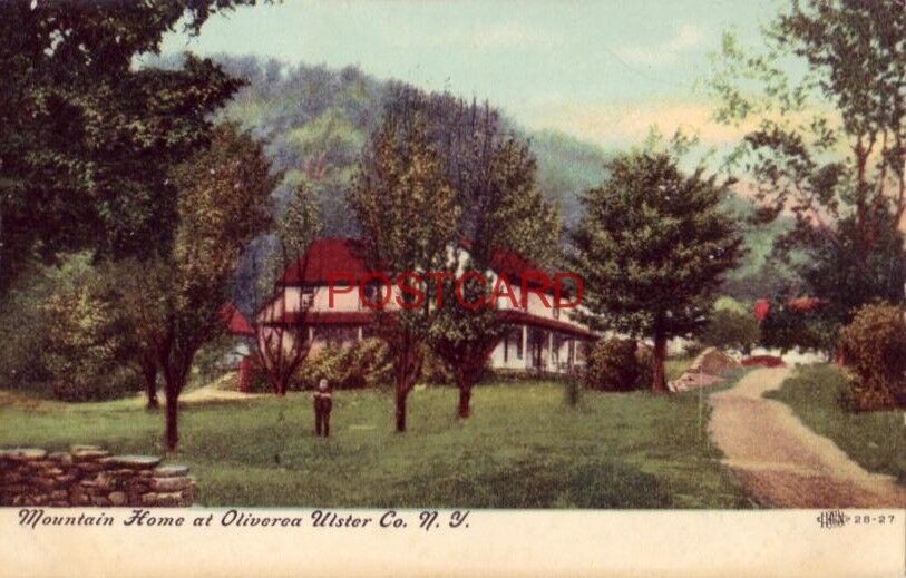 MOUNTAIN HOME AT OLIVEREA ULSTER CO., N.Y.