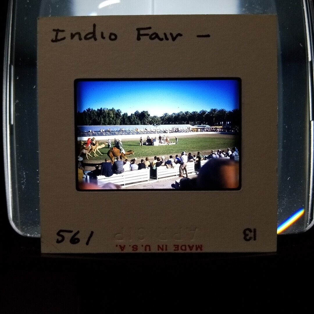 1960 or 1961 Indo Fair Camel Race Rodeo California Found Kodachrome Slide Photo