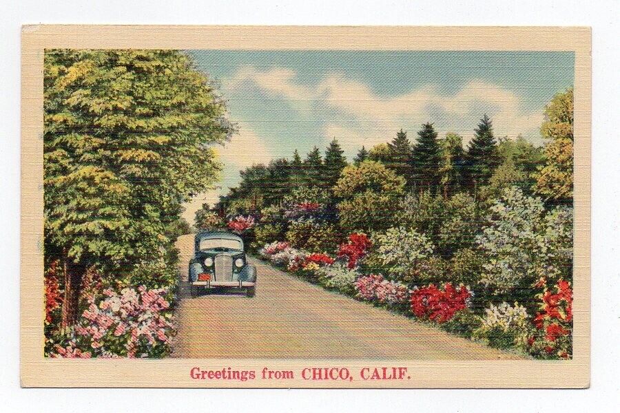 Linen Postcard, Greetings from Chico, Calif., California, 1942
