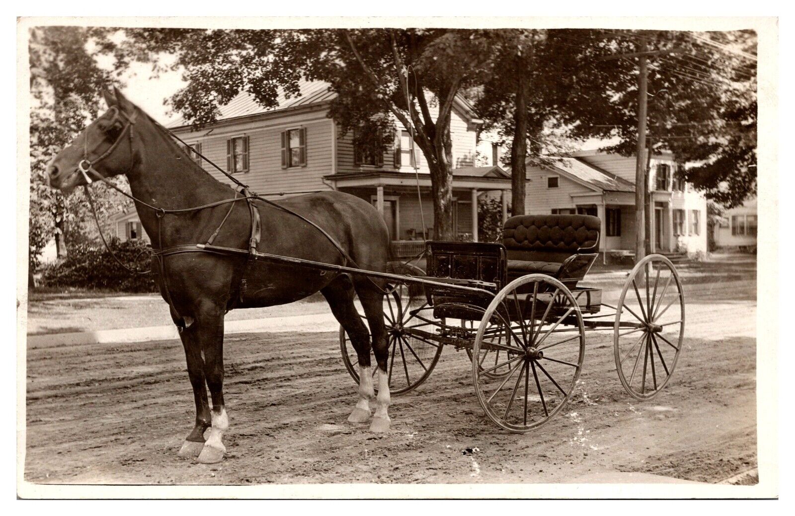 RPPC Beautiful Horse and Buggy, Unknown Location, AZO 1904-1918