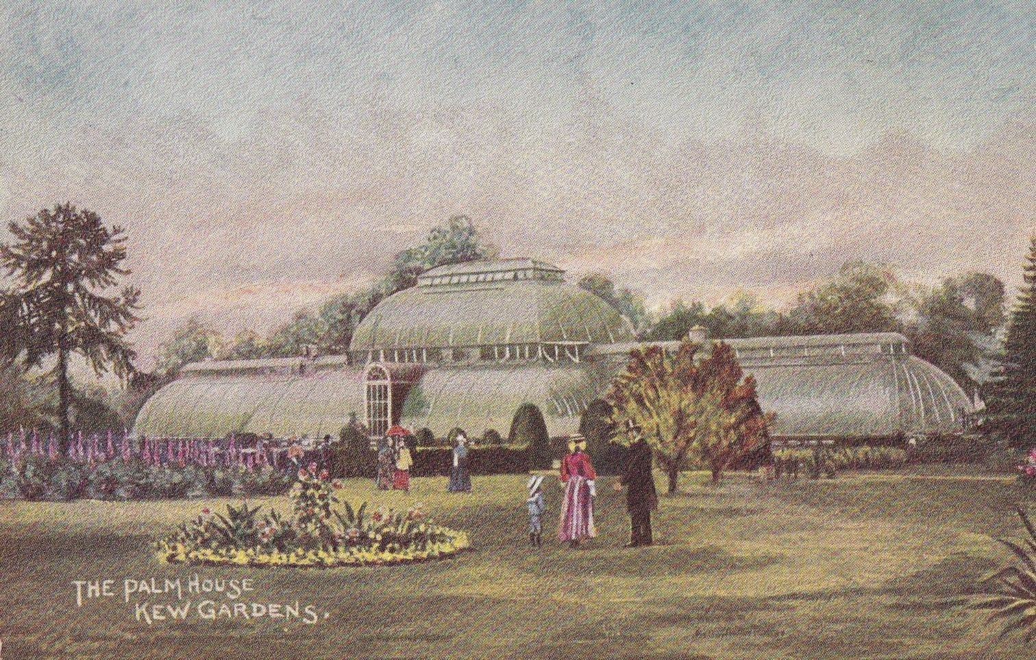 Vintage Postcard The Great Palm House Kew Gardens 1900s A3