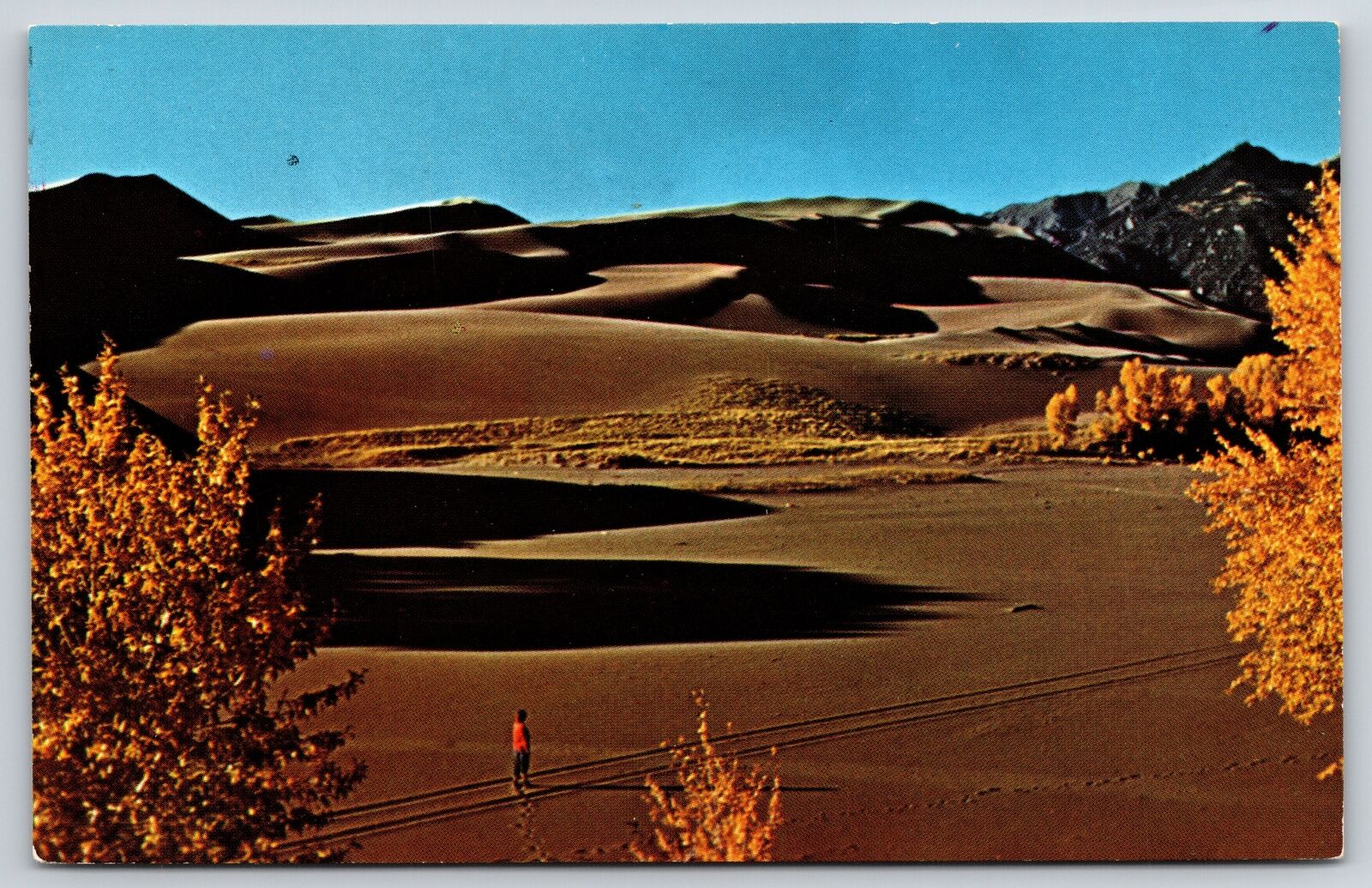 Alamosa Colorado~Great Sand Dunes Nat\'l Monument~Marty Waits For Doc~Vintage PC